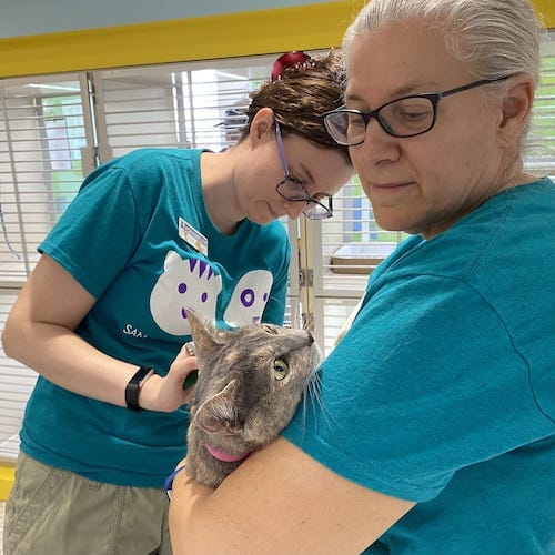 two women holding cat